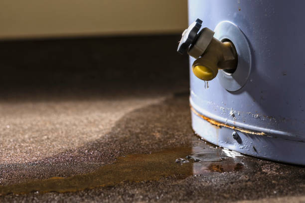 Best Water damage cleanup near me  in El Dorado Springs, MO