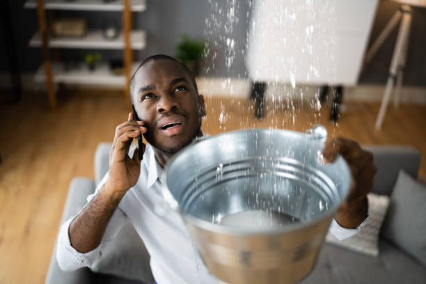 Best Water damage restoration near me  in El Dorado Springs, MO