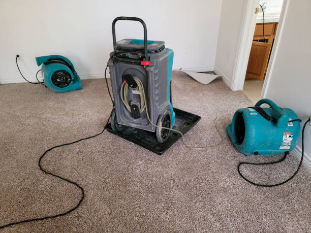 Best Flood restoration services  in El Dorado Springs, MO