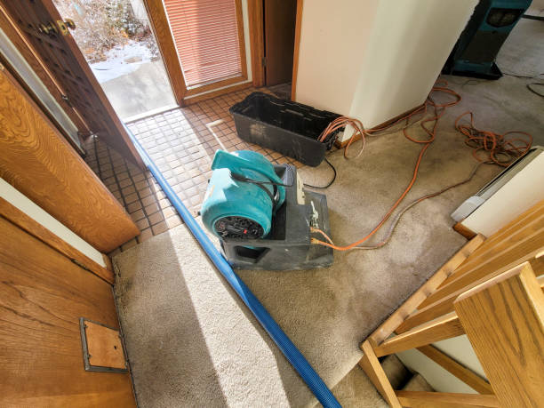 Best Professional water damage repair  in El Dorado Springs, MO