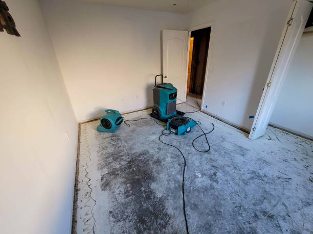 Professional Water damage restoration in El Dorado Springs, MO