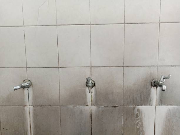 Best Ceiling water damage repair  in El Dorado Springs, MO