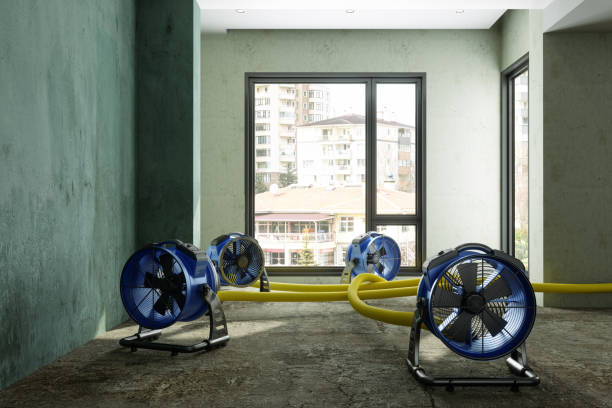 Best Basement water damage restoration  in El Dorado Springs, MO