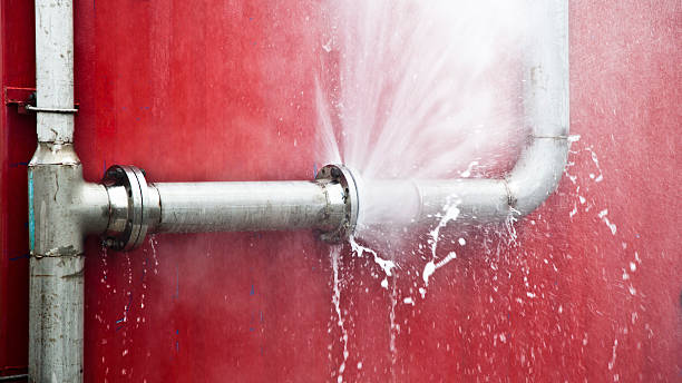 Best Flood restoration services  in El Dorado Springs, MO